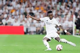 的纯粹与公 的纯粹与公